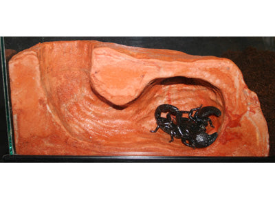 Pet-Tekk Burrow - Small