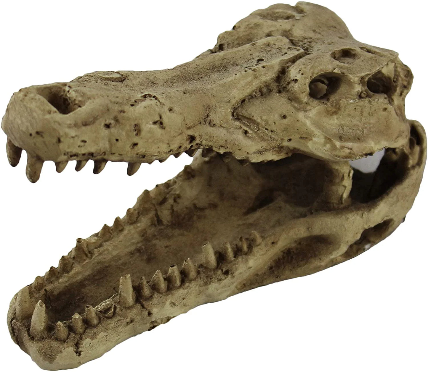 Skull Cave - Croc