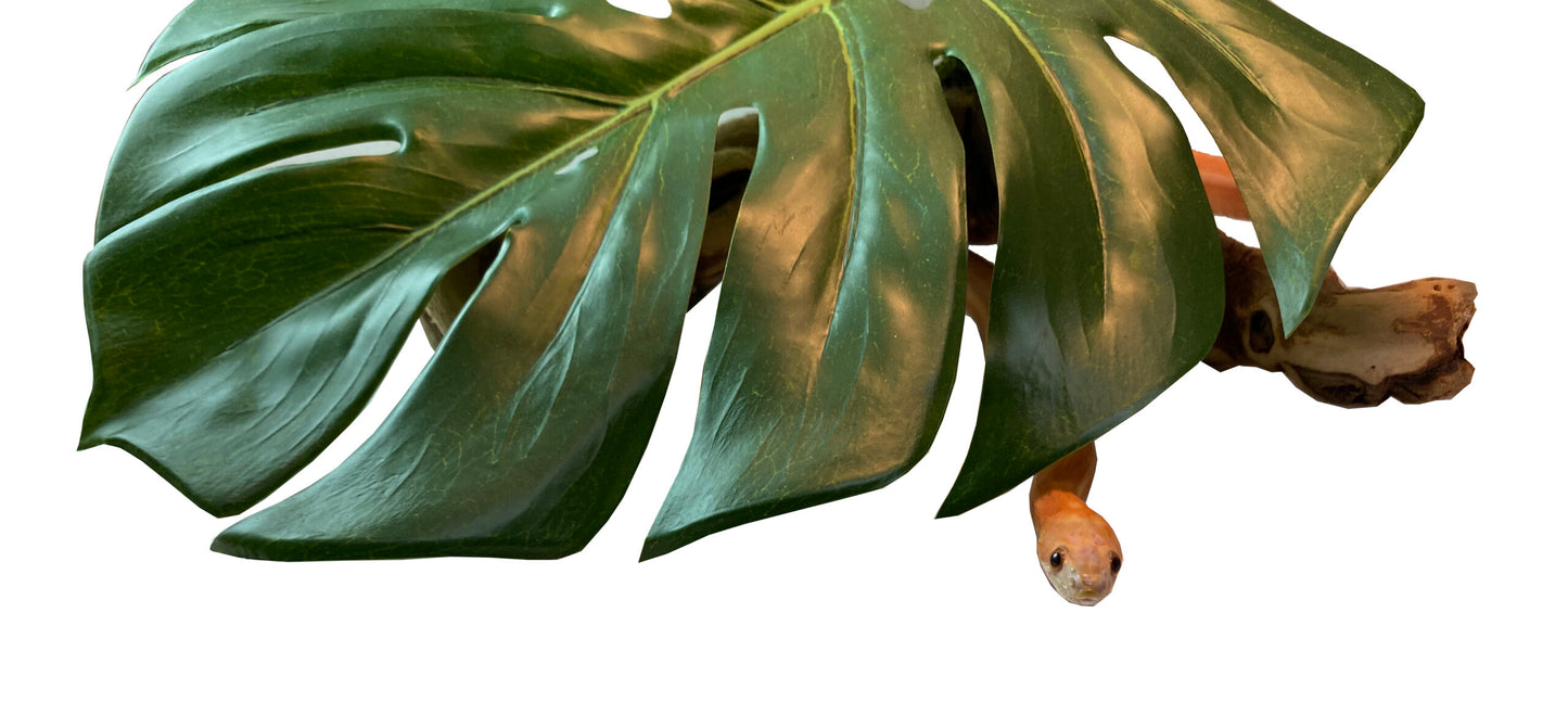 Single Leaf Hide - X-Large