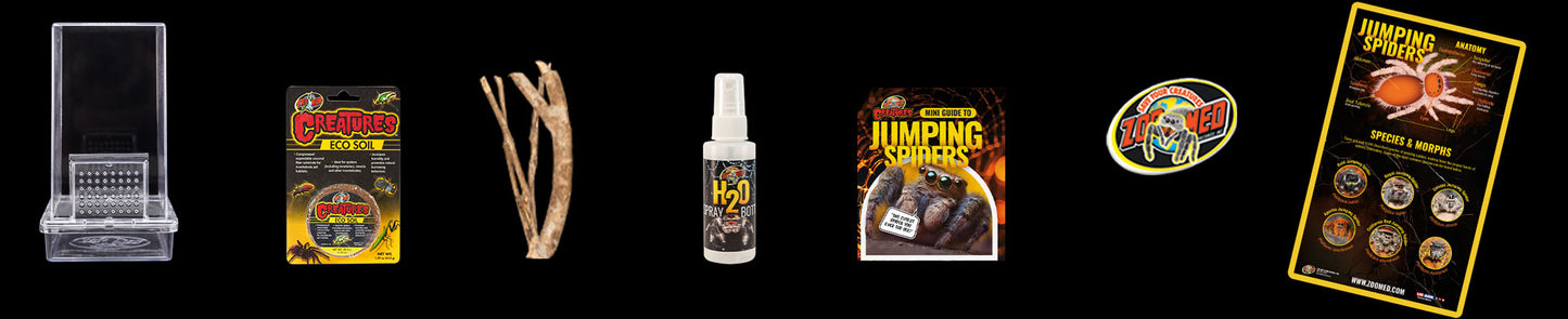 Jumping Spider Kit
