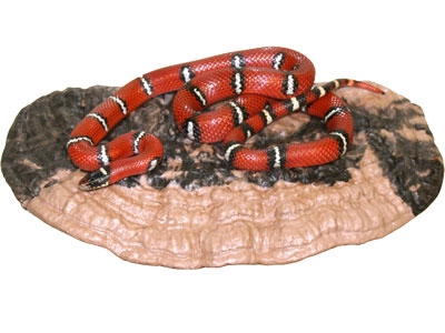 Magnaturals - Mushroom Ledge - Large