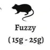 Live Fuzzy Rats