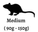 Live Medium Rats