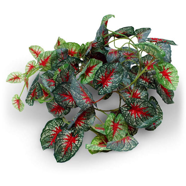 Leafy Vines