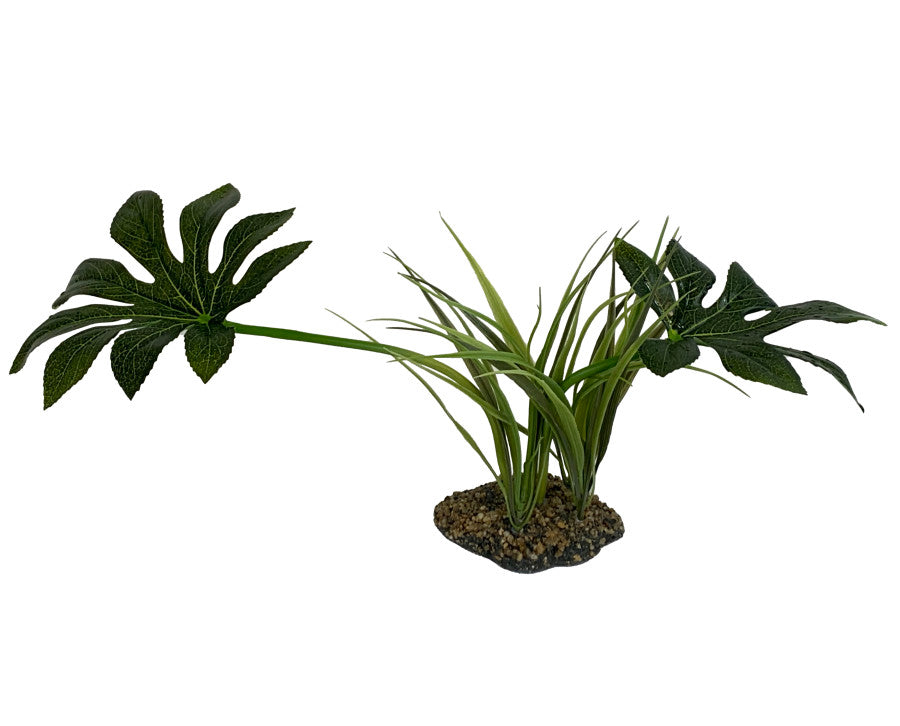 Komodo Jungle Canopy Plant - 10"