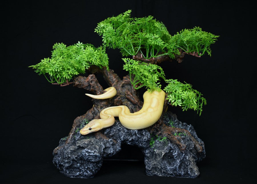 Komodo Bonsai Tree w/Hide