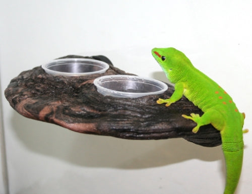 Magnaturals Gecko Feeding Ledge