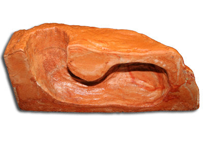 Pet-Tekk Burrow - Large