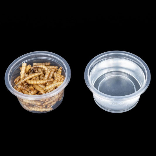 Gecko Feeding Dish (Deli Cups - 1 oz.)