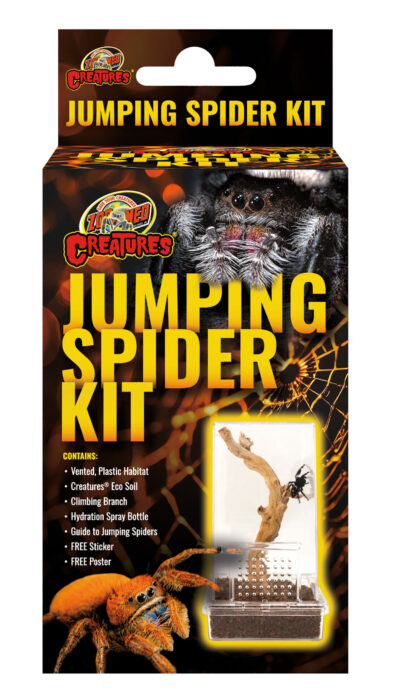 Jumping Spider Kit