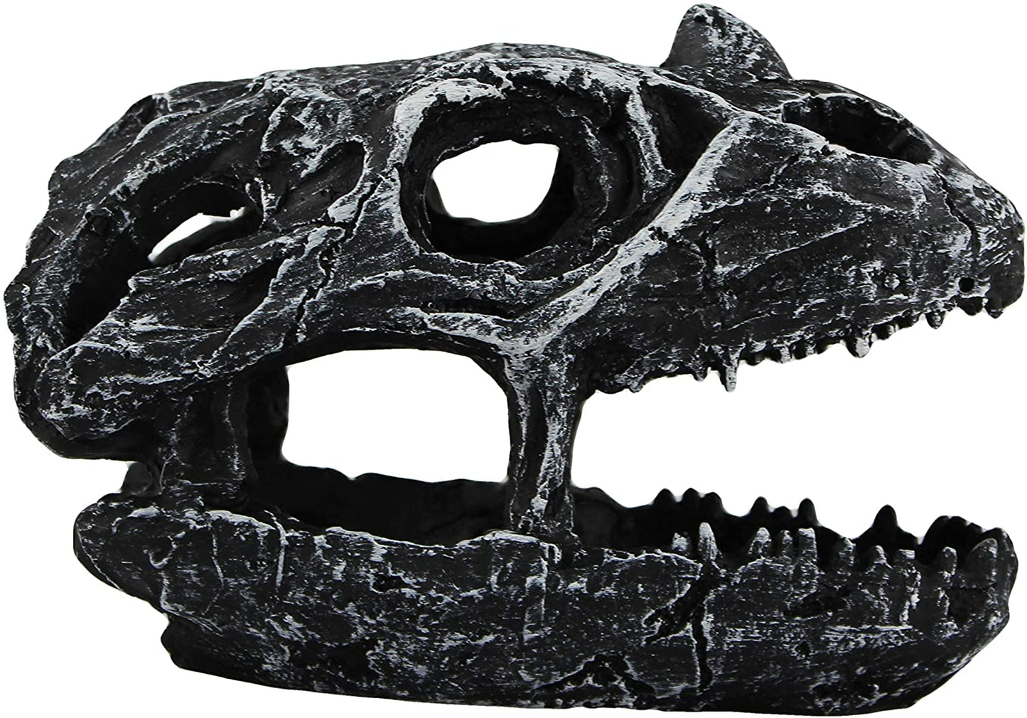 Skull Cave - Dino