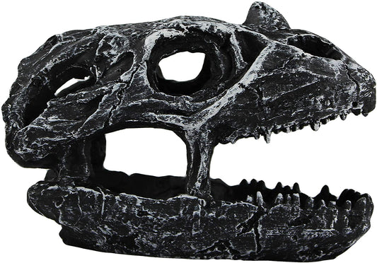 Skull Cave - Dino