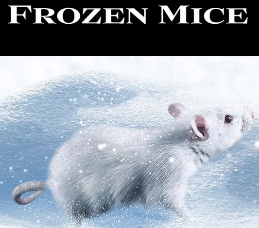 Frozan Mice Frozen Mice – Lowcountry Reptiles