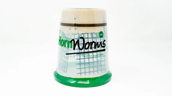 Hornworms