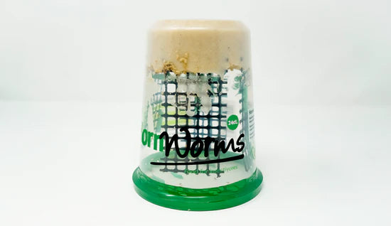 Hornworms