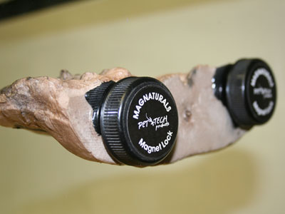 Magnaturals Mushroom Ledge - Small