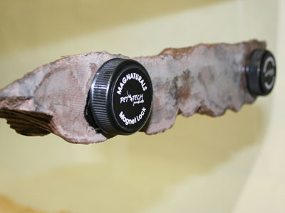 Magnaturals Mushroom Ledge - Medium