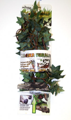 Magnaturals Tropical Vine Cluster