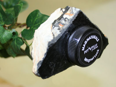 Magnaturals - Jungle Vine Bridge