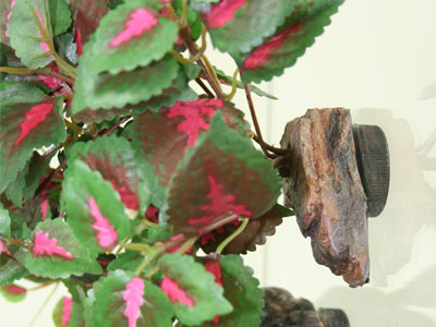 Magnaturals - Hanging Jungle - Small