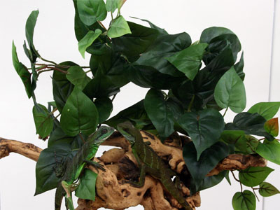Magnaturals - Hanging Jungle - Large