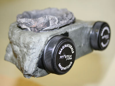 Magnaturals - Feed/Water Ledge