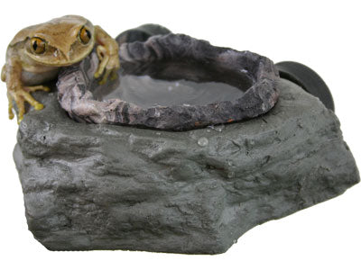 Magnaturals - Feed/Water Ledge