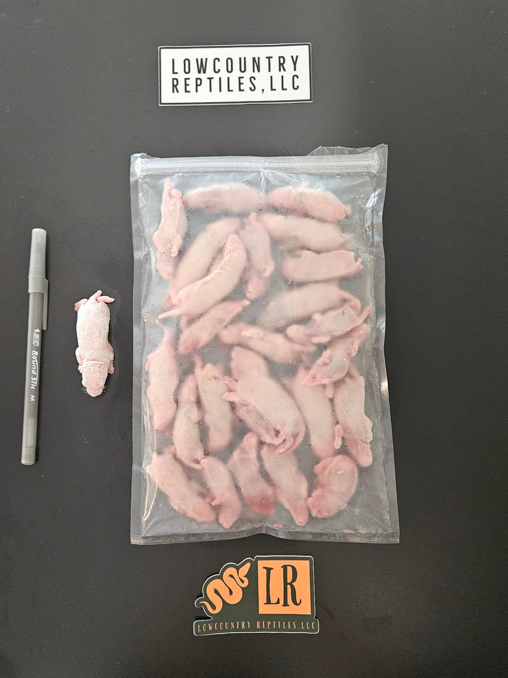Pinky Rats – Lowcountry Reptiles