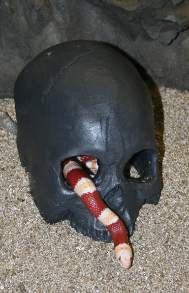 Pet-Tekk Skull Cave