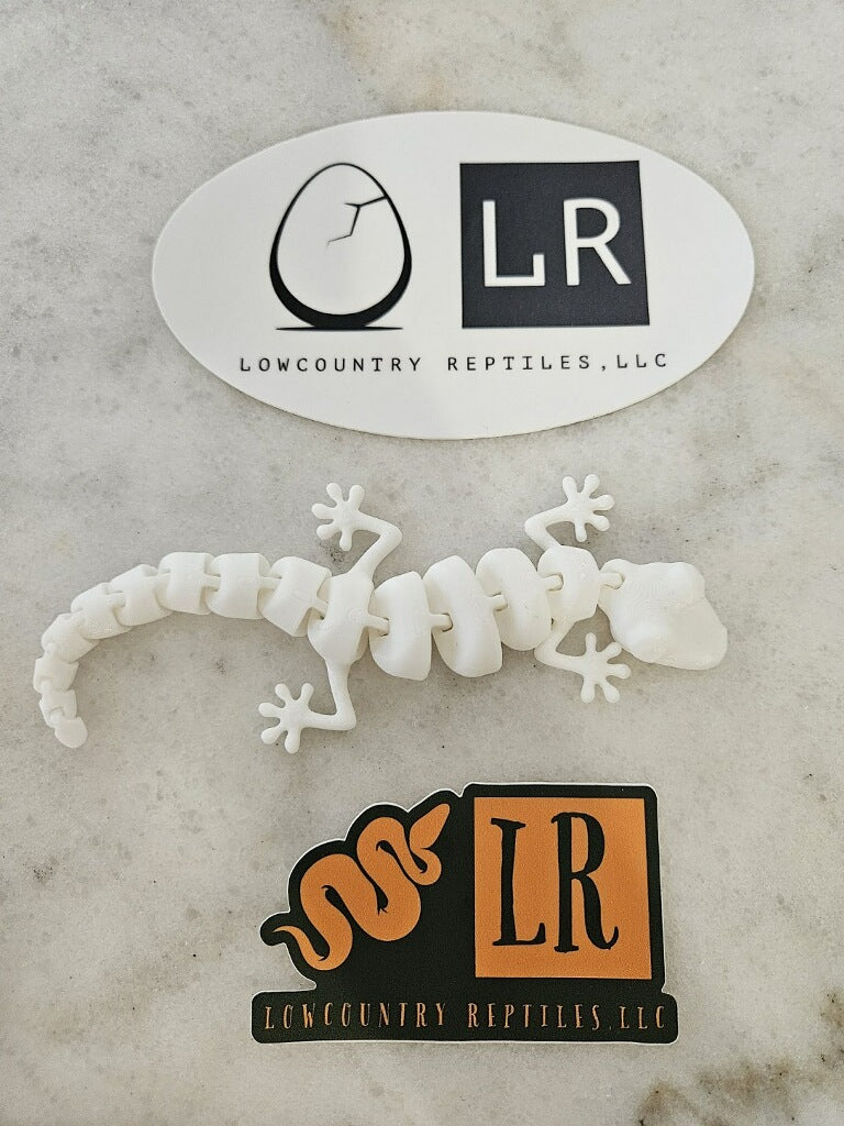 3-D Printed Gecko - White