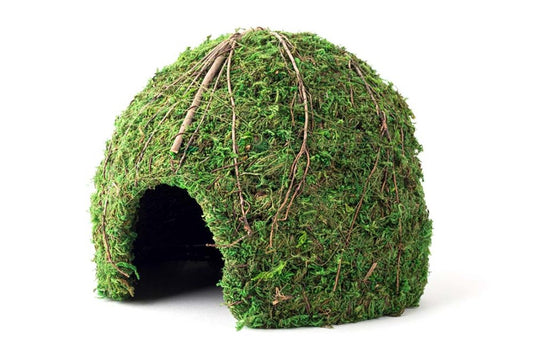 Galapagos Mossy Dome Hideaway