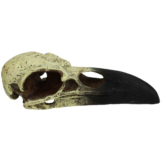 Skull Hideout - Raven
