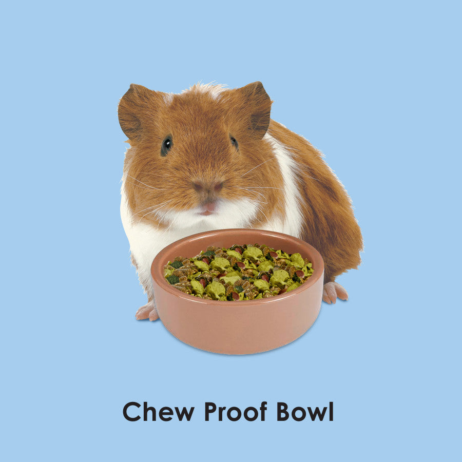 Kaytee Stoneware Pet Bowl - 3"