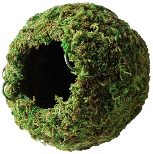 Galapagos Mossy Cave - 4"