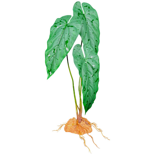 Komodo Standing Plant - Emerald Vine 18"