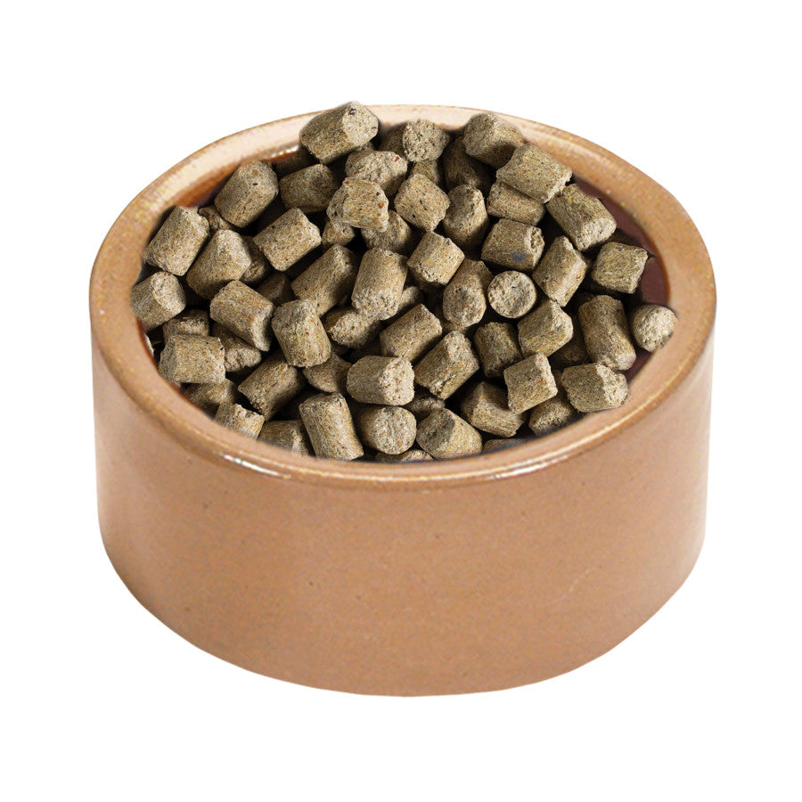 Kaytee Stoneware Pet Bowl - 5"