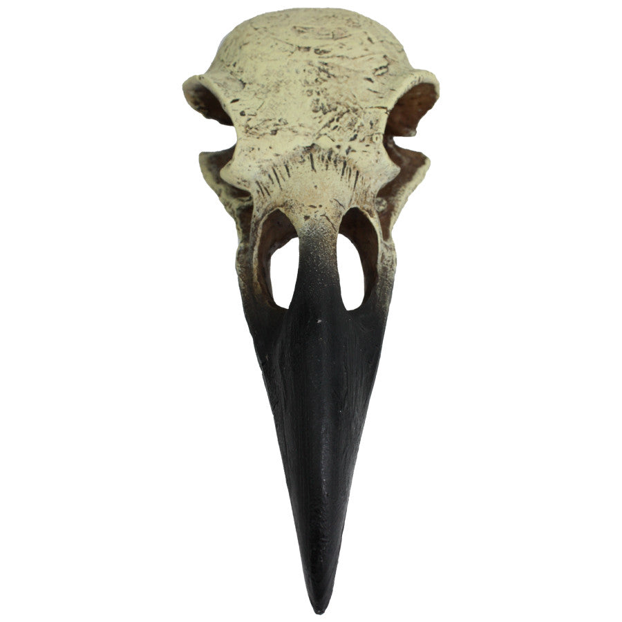 Skull Hideout - Raven