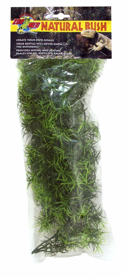 Natural Bush - Cashuarina