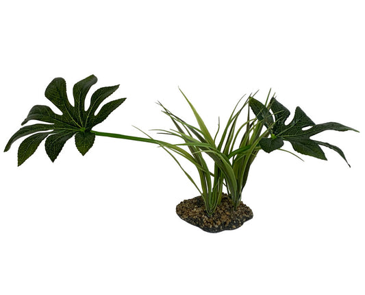 Komodo Jungle Canopy Plant - 10"