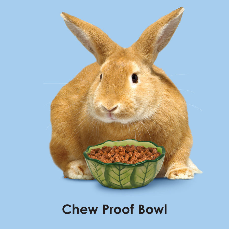 Kaytee Vege-T-Bowl - Cabbage - 6"