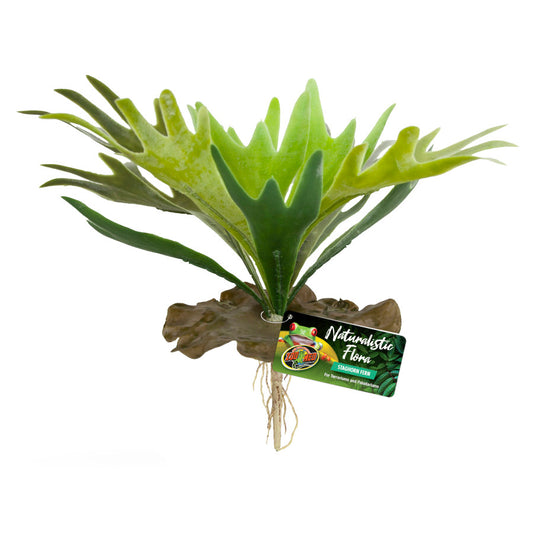 Naturalistic Flora Terrarium Plant - Staghorn Fern