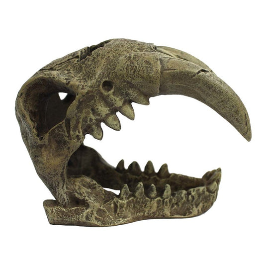 Skull Hideout - Saber Tooth