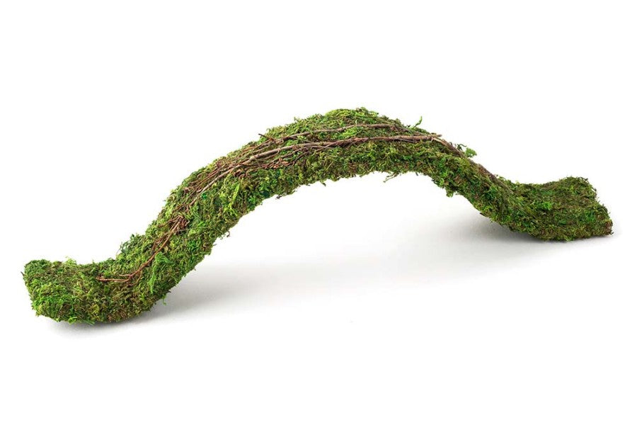 Galapagos Flexible Bridge - 2ft.
