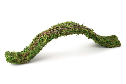 Galapagos Flexible Bridge - 2ft.